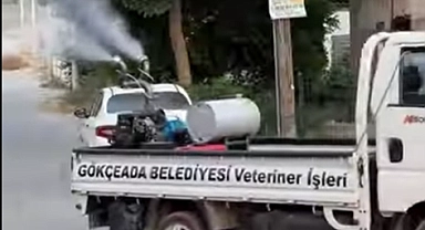 Gökçeada’da sivrisinekle mücadele aralıksız sürüyor