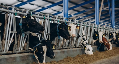 IPARD III kapsamında 218 projeye daha hibe desteği verildi