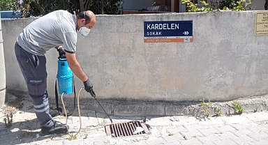 Kepez Belediyesi’nden sivrisineklerle etkin mücadele