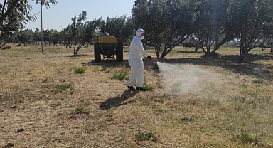 Kepez Halk Plajı’nda kene ve pire ilaçlaması yapıldı