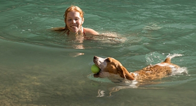 Köpeğinizle Deniz Keyfinin Püf Noktaları: Sağlıklı Bir Yaz İçin Bakım Rehberi!