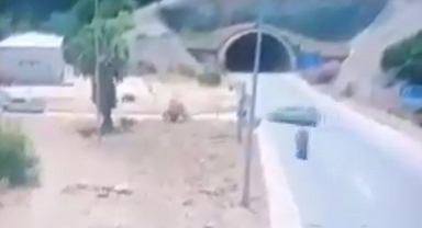 Kurban Bayramı’nın 3. Gününde Feci Kaza: 2 Genç Hayatını Kaybetti
