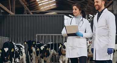 Tarımda girdi fiyatları yükselişte: Veteriner harcamaları rekor kırdı!