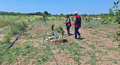 Tarımsal elektrik aboneliklerine denetim! Amacı dışında kullanıma geçit yok