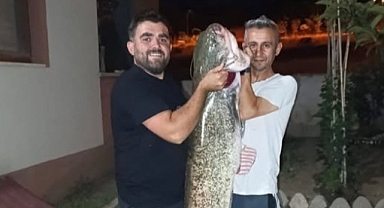 30 Kiloluk Dev Yakalandı! Dev Yayın Balığı Yakalandı