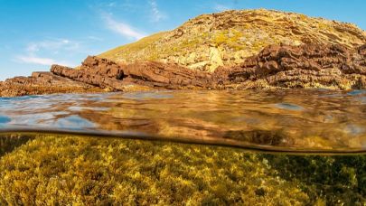 Türkiye’nin İlk ve Tek Sualtı Milli Parkı: Gökçeada