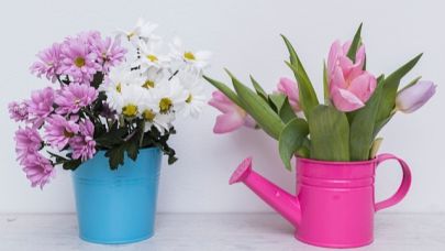 Vazo Çiçeklerinin Ömrünü Uzatmanın Püf Noktaları: Evde Taze ve Canlı Çiçekler İçin Altın Kurallar