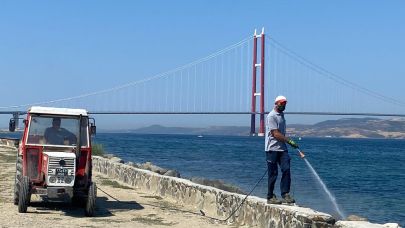 Lapseki’de çalışmalar sürüyor
