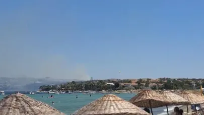 Gelibolu'da tarım arazisinde yangın