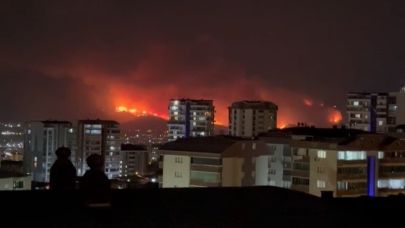 Orman Yangınındaki Alevler Şehir Merkezinden Görüntülendi
