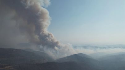 Bursa Harmancık’ta Orman Yangını Yeniden Alevlendi