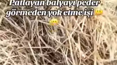 Balyaları yakıp videosunu paylaştı, tepki çekti