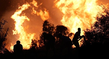 Ali Yerlikaya Yangınlarla İlgili Acı Bilançoyu Açıkladı