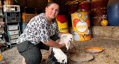 Anne Şefkatiyle Yaralı Leyleğe Sahip Çıktı!