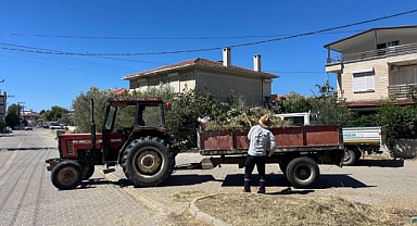 Ayvalık’ta Yeşil Dönüşüm Devam Ediyor: Emeğin Gücüyle Şehir Güzelleşiyor