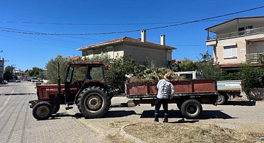 Ayvalık’ta Yeşil Dönüşüm Devam Ediyor: Emeğin Gücüyle Şehir Güzelleşiyor