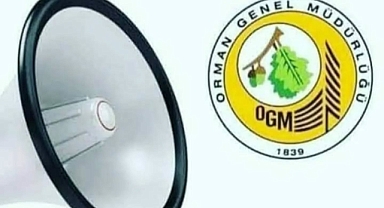 Bayramiç Orman İşletme Müdürlüğü'nden yangın uyarısı
