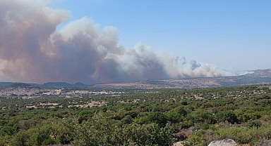 Çanakkale Ayvacık’taki Orman Yangını Naldöken Köyüne Sıçradı: Evler, Damlar ve Hayvanlar Yandı
