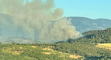 Çanakkale’de Orman Yangını Uyarısı: 2 Günlük Kritik Dönem Başlıyor!