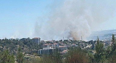 Çanakkale Erenköy’de yangın