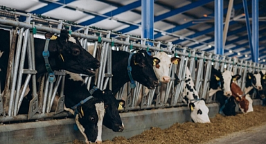 Çiftçilere 345 Milyon Liralık Tarımsal Destek Ödemesi Yapılıyor!