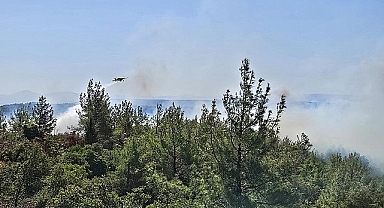 Eceabat’ta Orman Yangını Riskine Karşı Uyarı!