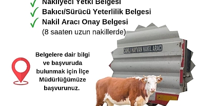 Ezine’de hayvan nakliyesine sıkı denetim