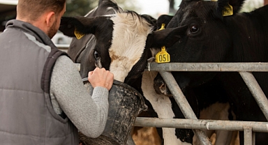 Hayvancılıkta Yeni Dönem Başladı! Yetki ve Görevler Sil Baştan Değişti