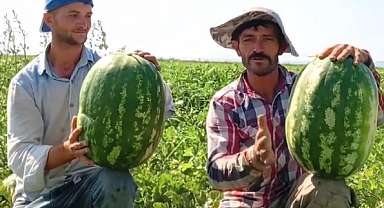 İki Dev Karpuzun Ağırlığını Doğru Tahmin Eden Kazanıyor!