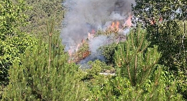 Karabük'te orman yangını çıktı