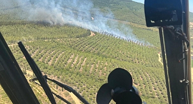 Lapseki Dişbudak Köyü'nde orman yangını