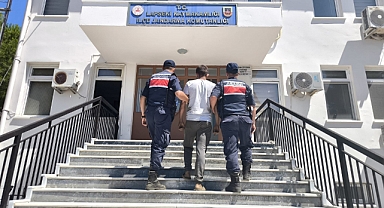 Lapseki Dişbudak Köyü’nde Orman Yangını Korkuttu: 5 Hektarlık Alan Zarar Gördü