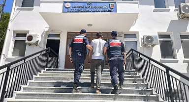 Lapseki Dişbudak Köyü’nde Orman Yangını Korkuttu: 5 Hektarlık Alan Zarar Gördü