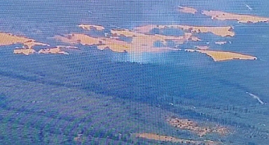 Lapseki Dişbudak Köyü'ndeki orman yangını kontrol altına alındı