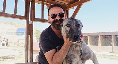 Sürüyü korumak için ağaca tırmandı, 2 metrelik yılanı etkisiz hale getirdi