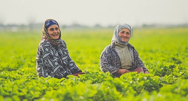 Tarım ÜFE Haziran Ayında Rekor Artış Gösterdi!