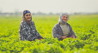 Tarım ÜFE Haziran Ayında Rekor Artış Gösterdi!