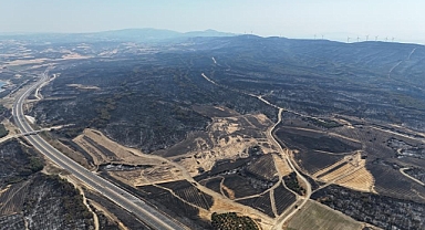 Tekirdağ’daki orman yangınında Çanakkale’de 119 futbol sahası büyüklüğünde alan yandı