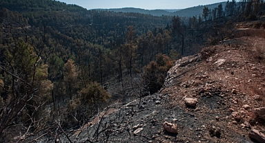 Tekirdağ Valiliği Açıkladı: Yangın Kontrol altında!