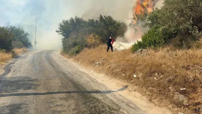 Bodrum'da makilik alanda yangın: Müdahale başladı