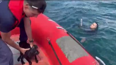 Çanakkale'de Nefes Kesen Kedi Kurtarma Operasyonu