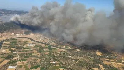 Ayvacık'taki yangını 2 kişi bilerek çıkarmış