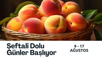 Lapseki’de Şeftali Festivali başlıyor