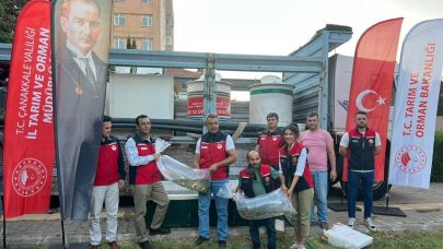 Çanakkale'de baraj ve göletlere 2 milyon aynalı sazan yavrusu bırakıldı
