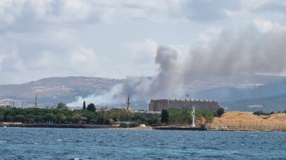 Sarıcaeli'nde orman yangını başladı