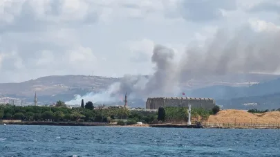 Sarıcaeli'nde orman yangını başladı