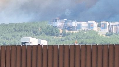 Sarıcaeli yangını ÇOMÜ Terzioğlu Yerleşkesi’ne doğru ilerliyor