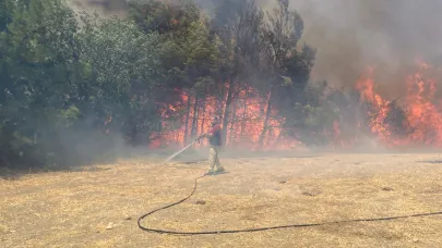 Sarıcaeli'nde orman yangınını çıkaran şüpheli araç aranıyor