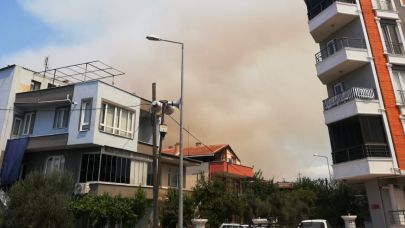 Bayramiç Çatalçam Köyü’nde dumanlar yükseldi