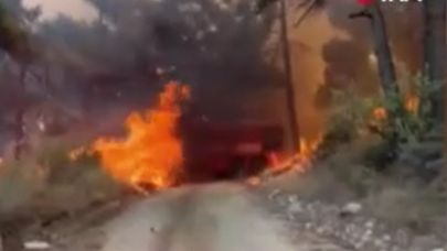 Çanakkale'deki orman yangınında bir itfaiye aracı yandı